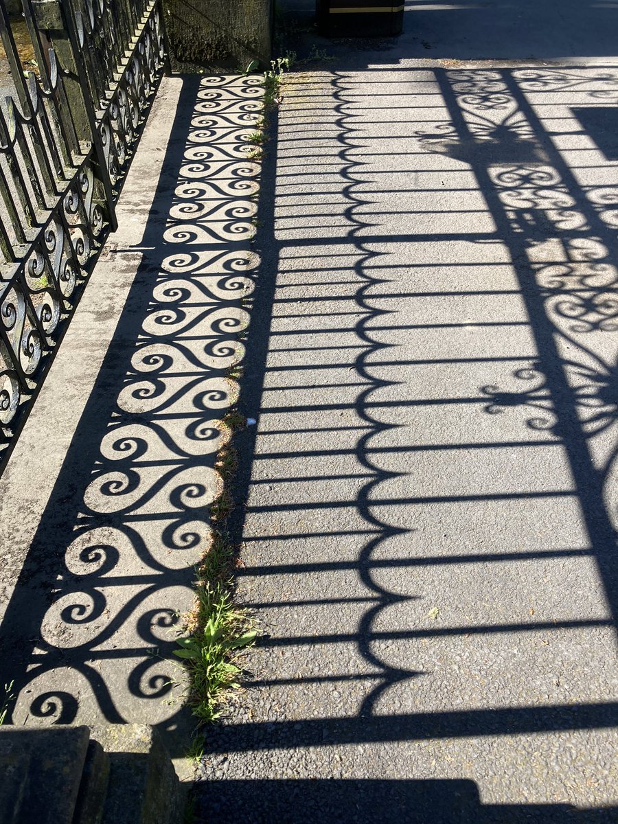 AnneQuinton's tweet photo. Today I looked down - and it was magnificent https://t.co/DAGHyfXJtf
