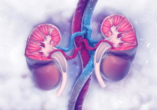 osakidetzaEJGV's tweet photo. ✳️ Euskadi incluirá a partir del 1 de junio en su cribado preventivo de enfermedades en recién nacidas/os una nueva patología: la Hiperplasia suprarrenal congénita ➕ https://t.co/p2Hep4MHpr

#SaludMásQueNunca #Osakidetza40urte https://t.co/CvTb43WYvD