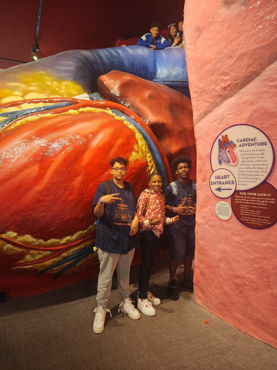 About to enter the human heart