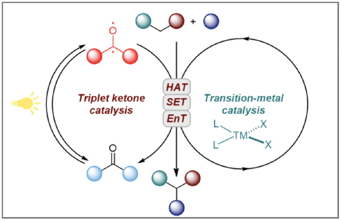 Check out our invited review on 'Recent Advances in Dual Triplet Ketone/Transition-Metal Catalysis'–Published in the special issue honoring Masahiro Murakami’s contributions to science; now out in Synlett @thiemechemistry Congrats Valeria! @VIziumchenko 
tinyurl.com/muh6w8y3