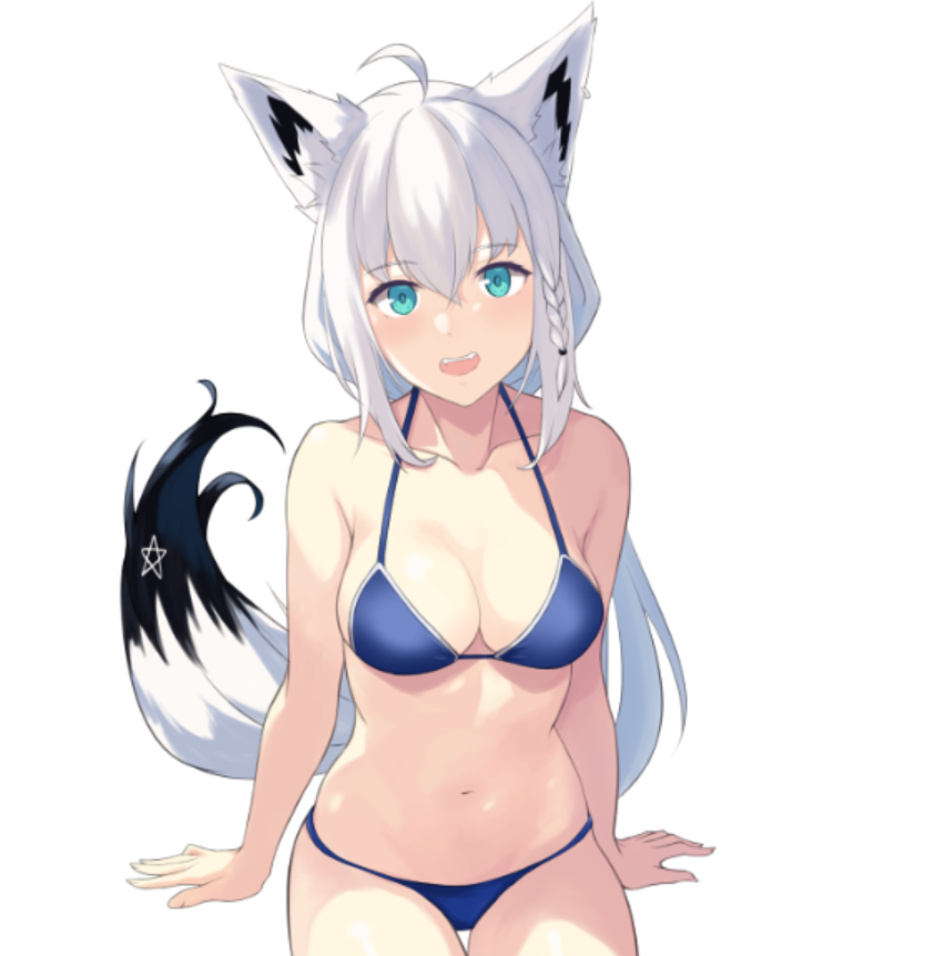 白上フブキ 「fbk wip 2」|Zeiss(つぁいす)のイラスト