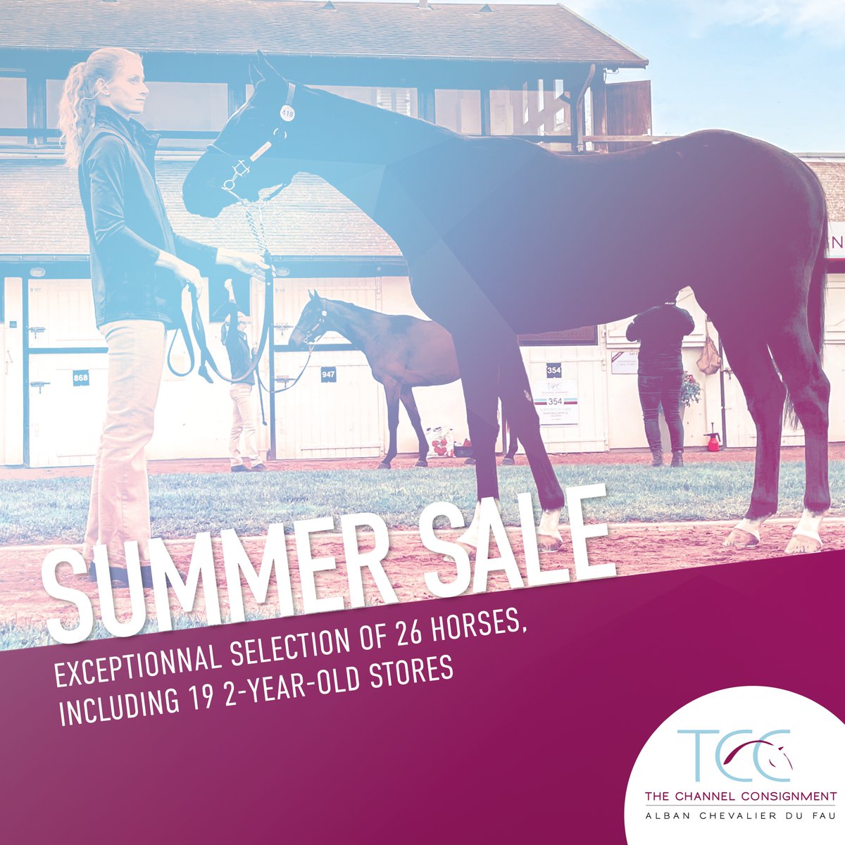 TCC_AcfEquine's tweet photo. Big news! 🔥 @InfoArqana Summer Sale catalogue is online, with our exceptional draft of 26 horses, inc. 19 2yo stores by superstar #DoctorDino (x7), #Zarak (x2),#GoliathduBerlais (x2), #BucksBoom, #ChoeurduNord, #Harzand, #MaskedMarvel, #Motivator, #Muhtathir &amp; #NirvanaduBerlais https://t.co/5ctnmmZxR6