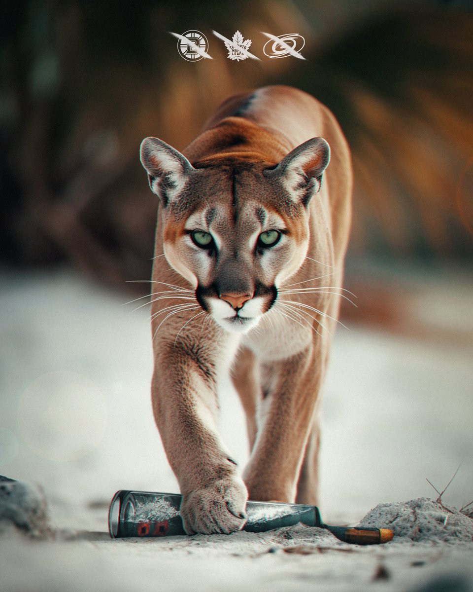 FlaPanthers's tweet image. Contained the storm.