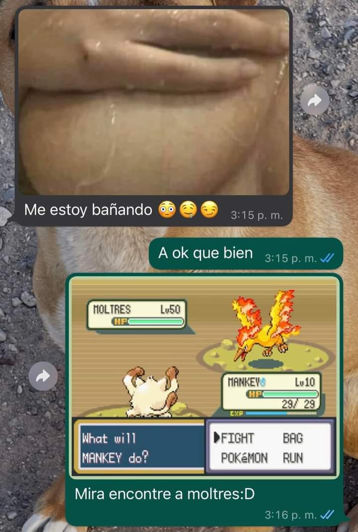 Todo fan de Pokémon tiene prioridades