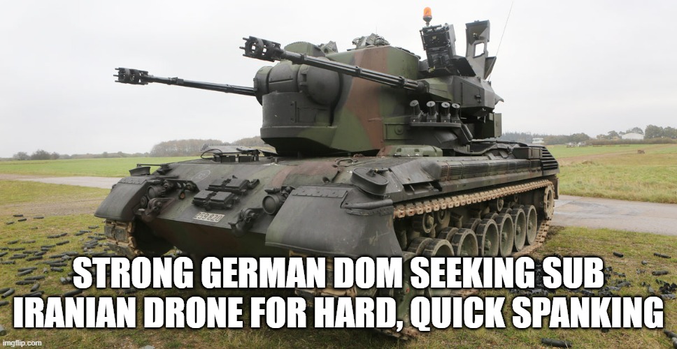 @Tendar I'm just here to say 'Flakpanzer'. It's my favorite German word. And to post this. #nafomemes #nafo #fellas #nafofellas #wearenafo #NAFOExpansionIsNonNegotiable #flakpanzer #Gepard