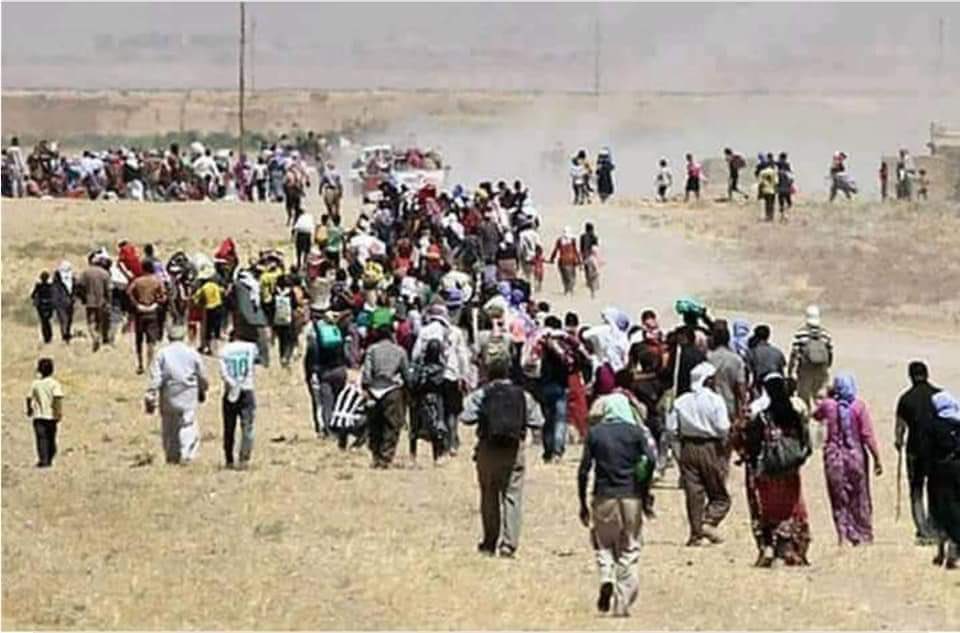 #yazidigenocide 
 #IntlProtection4Yazidis 
 #الابادة_الايزيدية 
 #الحماية_الدولية_للايزيديين