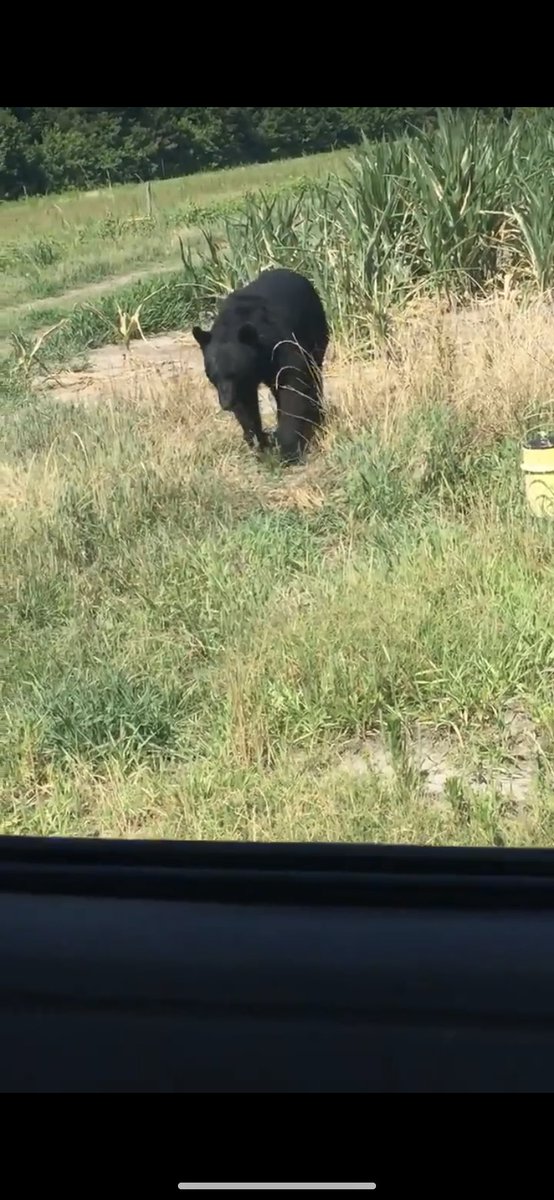 Kemper Sutton tweet media