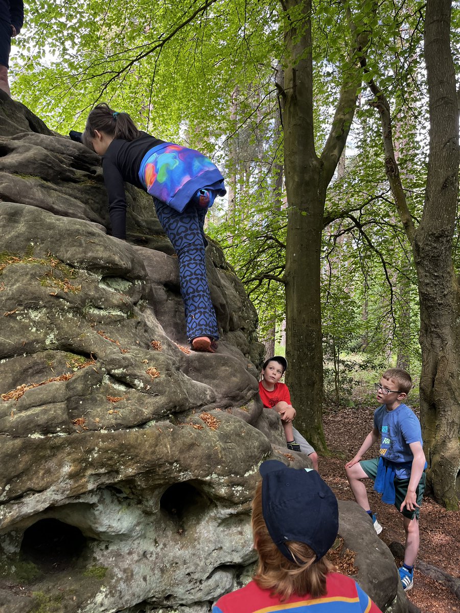 Outdoor Ed tweet media