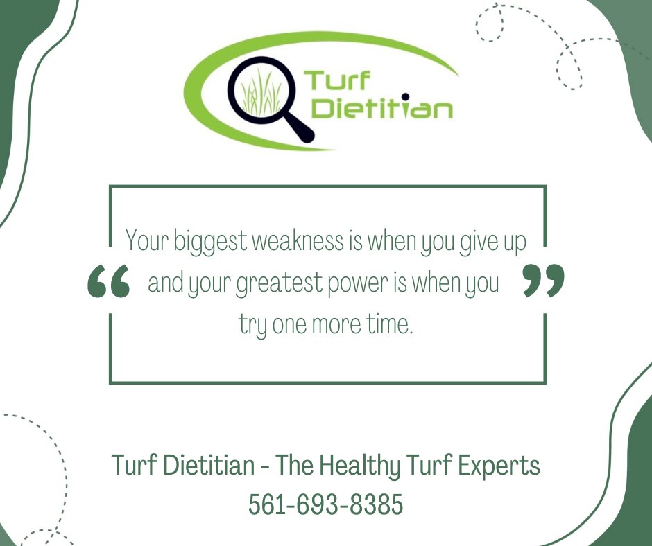 The Turf Experts  
#turflife #environment #turfgrassmanagement #irrigation #golfcourse #lawncare #irrigation #agriculture #turf #landscaperforpalmtreesinjupiter #PalmbeacGardens #Jupiter #JunoBeach #Tequesta #PalmBeach #Palmbeach_community #DNA #SoilTesting #BeCrop #SoilHealth