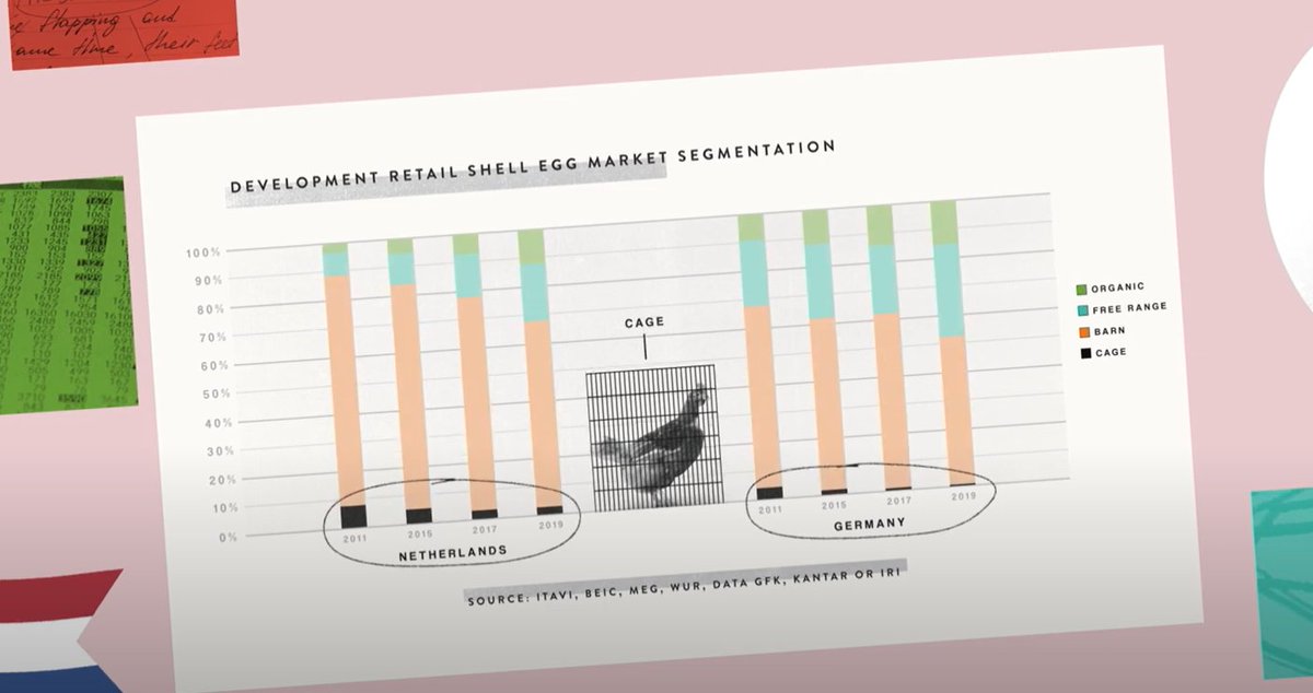 Best Practice Hens tweet media
