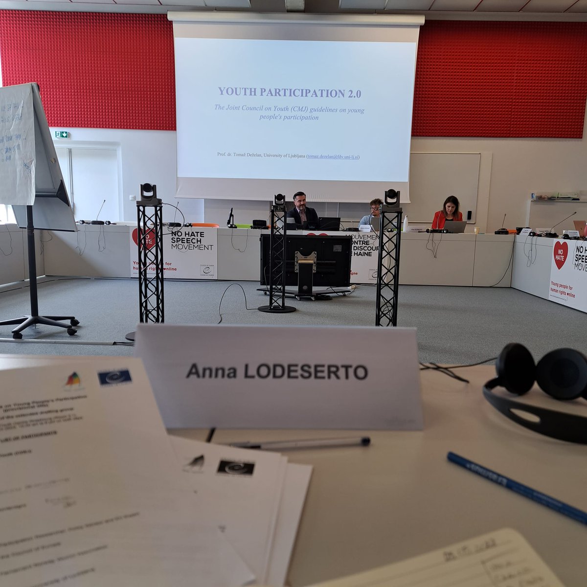 Glad to contribute to @coe working group on developing the practical guidelines on young people’s #participation in public life and revision of the Committee of Ministers’ recommendations for the member states of the Council of Europe on #citizenship #YouthPolicies #EYCS #CMJ✍️👥