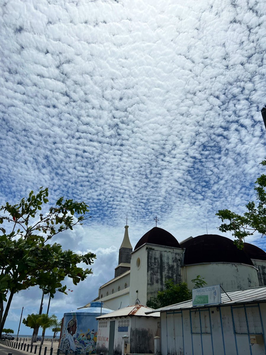 Puisque c'est #jeudiphoto... #Guadeloupe