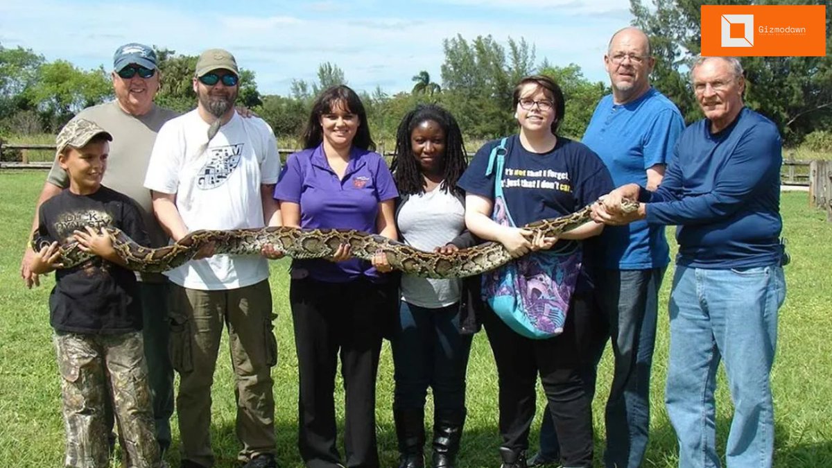 dawn_gizmo's tweet image. gizmodawn.com/science/florid…

#floridapythonchallenge #floridapython