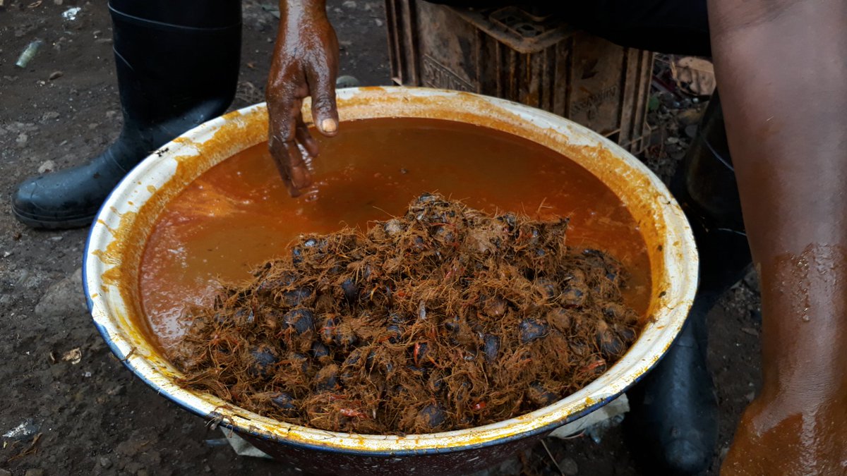 egsabores_'s tweet photo. Producto Nacional.
#Aceitedepalma #GuineaEcuatorial #Datiles https://t.co/kMUfkAUE50