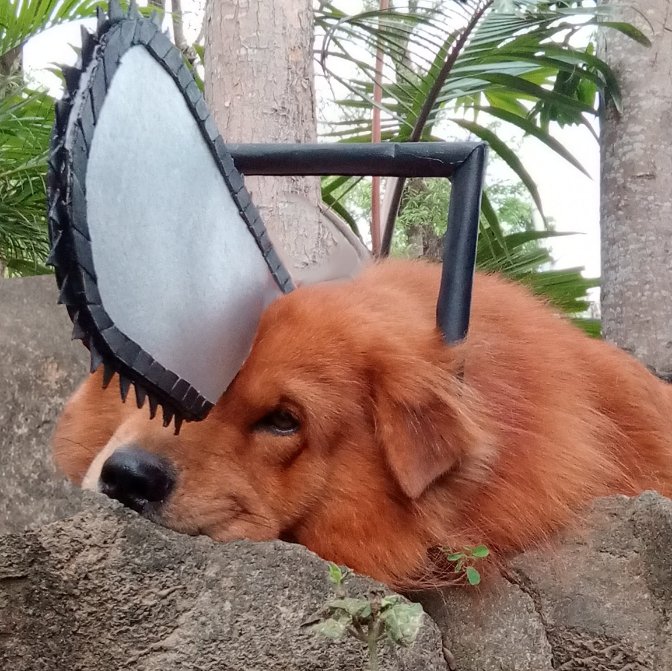 yashincreates's tweet photo. Meet my dog Simba cosplaying as Pochita

@itsQuintella @CONQuestPHL 
#CONQuest2023 #QuintellArt #SeeYouInTheSkies https://t.co/IQmE1UUfYX