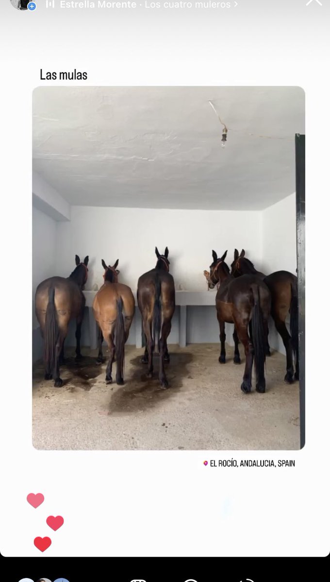 Las mulas #ElRocío23