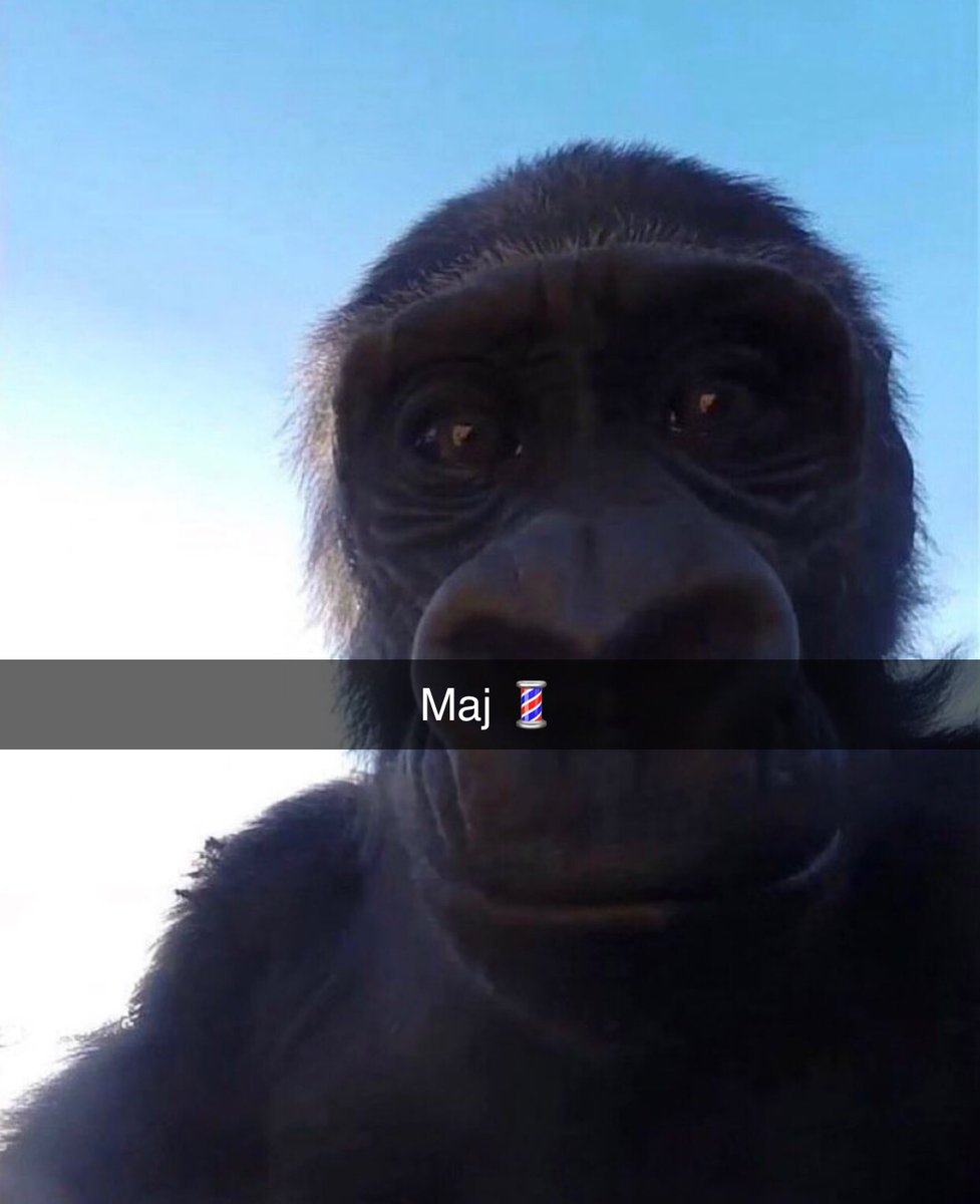 babafingo_25's tweet photo. Moi quand je sors du hefef https://t.co/2uv3F0EwcG