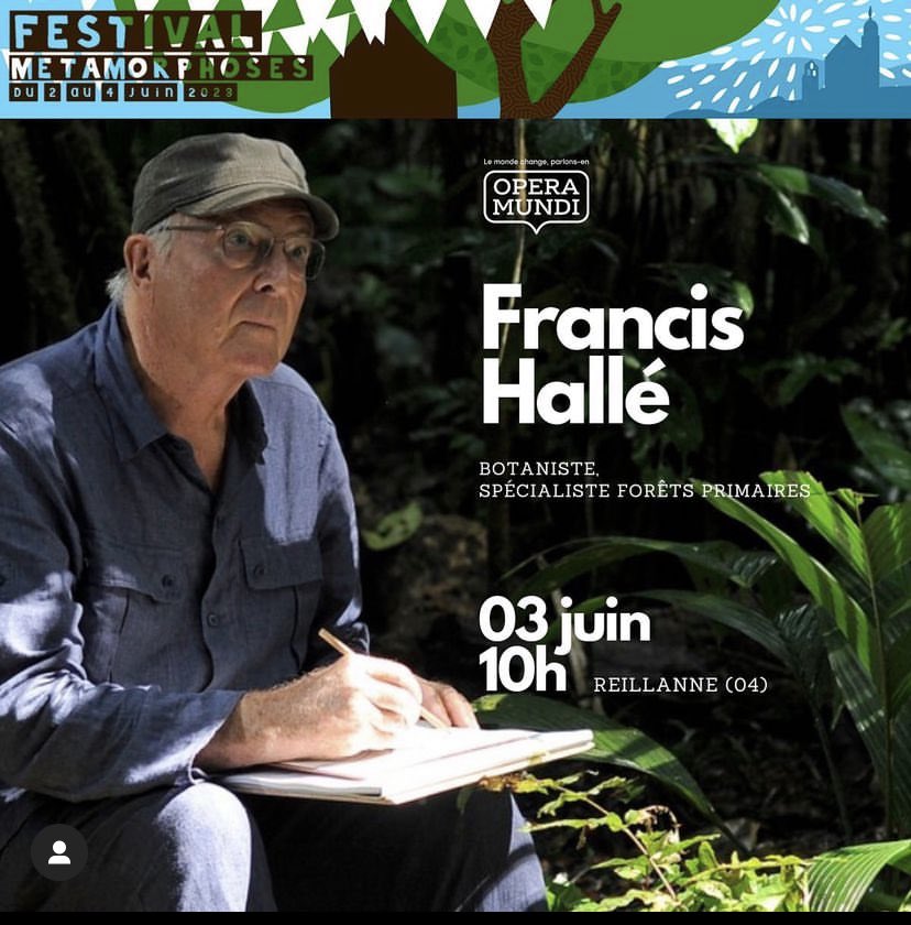 FMetamorphoses's tweet image. FESTIVAL METAMORPHOSES 2023
Rdv le 03 juin 10h à #Reillanne au cœur du #Luberon avec Francis Hallé botaniste et explorateur de la canopée, ardent défenseur de la forêt primaire qui suit au long des siècles, de lents processus de métamorphose. 💥un événement à ne pas manquer 🙏