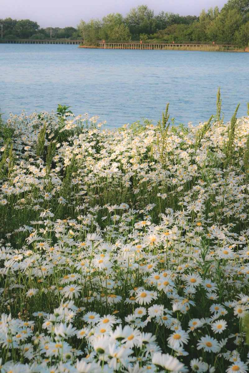 바람마저 부드러운 곳 *