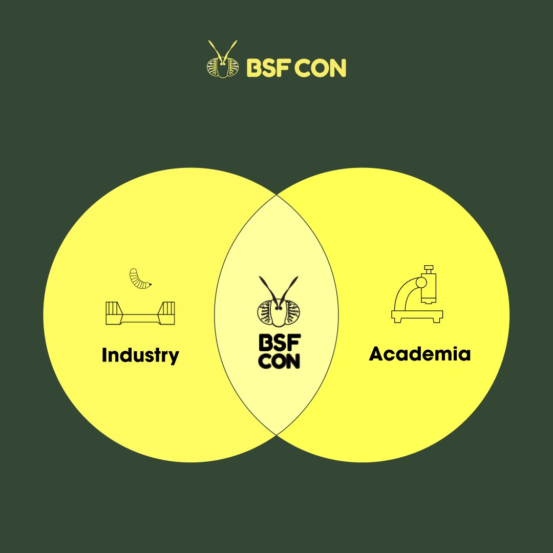 Black Soldier Fly Conference tweet media