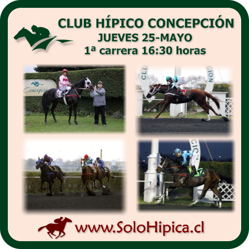 solohipica's tweet photo. Gentileza del Stud EDGARDO AREVALO: CLUB HÍPICO CONCEPCIÓN (Jueves 25) Disponibles Programa Carreras, FS Repetidos, Resultados https://t.co/KY6U2IUCVo #solohipica #ClubHípicoConcepción #ProgramaCarreras #FSRepetidos #Resultados #CarrerasDeCaballos #Hípica #StudEdgardoArevalo https://t.co/6rJ41OQOSi