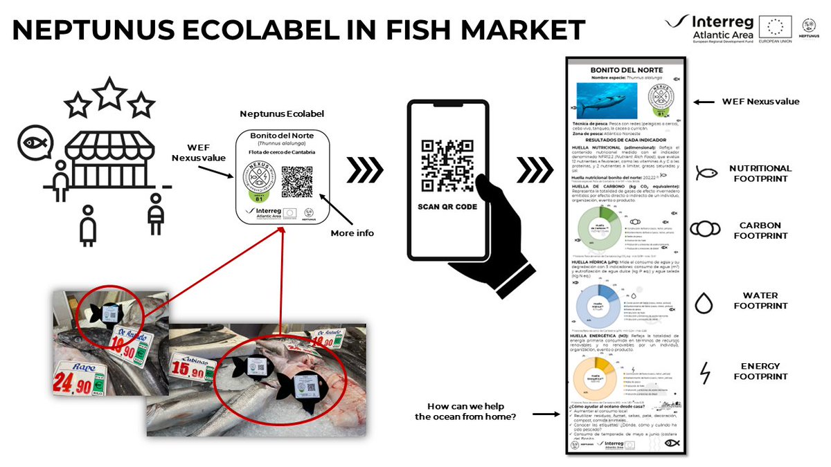 NEPTUNUS (@neptunusproject) on Twitter photo 🆕NEPTUNUS Project (<a href="/AtlanticArea/">Interreg Atlantic Area</a>)
🐟WEF Nexus Ecolabel arrives to fish markets!
🛒Since the beginning of May our ecolabels are available in "Pescadería Enrique" (Mercado de la Esperanza, Santander)
➡️ More info neptunus-project.eu/neptunus-arriv…
⬇️ Neptunus Ecolabel Info 🆕NEPTUNUS Project (<a href="/AtlanticArea/">Interreg Atlantic Area</a>)
🐟WEF Nexus Ecolabel arrives to fish markets!
🛒Since the beginning of May our ecolabels are available in "Pescadería Enrique" (Mercado de la Esperanza, Santander)
➡️ More info neptunus-project.eu/neptunus-arriv…
⬇️ Neptunus Ecolabel Info