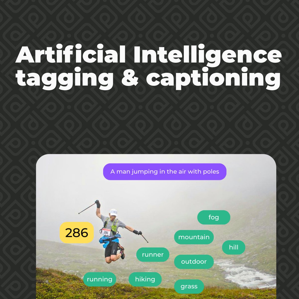 Say HELLO to AI-generated keywords
and titles! 🦾🎉 photodeck.com/blog/ai-keywor… #professionalphotographer #workbetter
