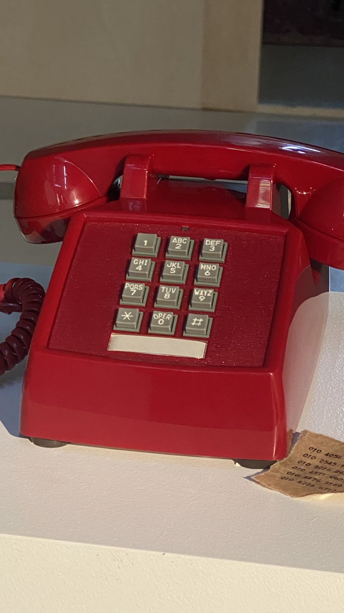 Nutty as a fruitcake!
〰️