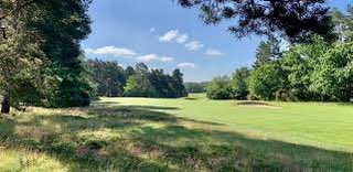 Played Thetford G.C. yesterday, competing in a mixed open with Mrs K. A return visit after several years absence. Thoroughly enjoyed our day, course is in lovely condition.
#norfolkgolf #heathlandgolf