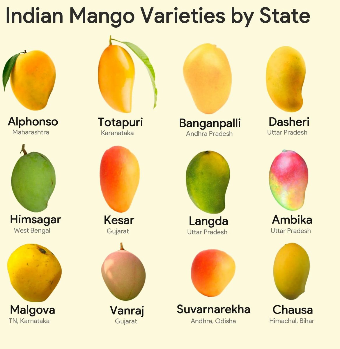 🥭🌞 'Time to Mango-fy Your Day! 
Comment mango variety makes your taste buds sing the sweetest tune? Share your favourite and let the mango debates begin! 🎵😋 #MangoMadness
#UPSC #UPSC2023 #UPSCAspirant #SSC #RRB #RRBNTPC #CHSL #CGL