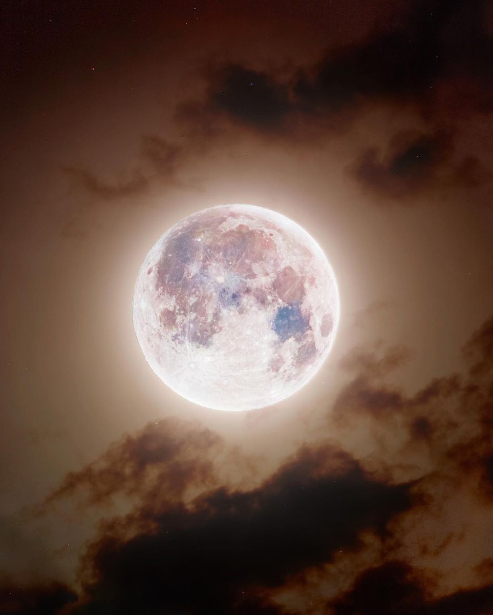 Moon (@Pix2Moon) on Twitter photo 2023-05-25 11:20:45