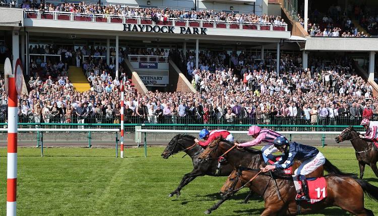 BenBeard2's tweet photo. 💷 If Bjorn Ironside &amp; Girl Racer both win at Haydock today I’ll give one of you £100 in CASH! 

YES £100!

To Enter ⬇️

1️⃣ RT this Tweet 🔄
2️⃣ Like this Tweet ❤️ 
3️⃣ Follow @BenBeard2 

YOU MUST follow the account!

#HorseRacing https://t.co/AuzJi1OULY