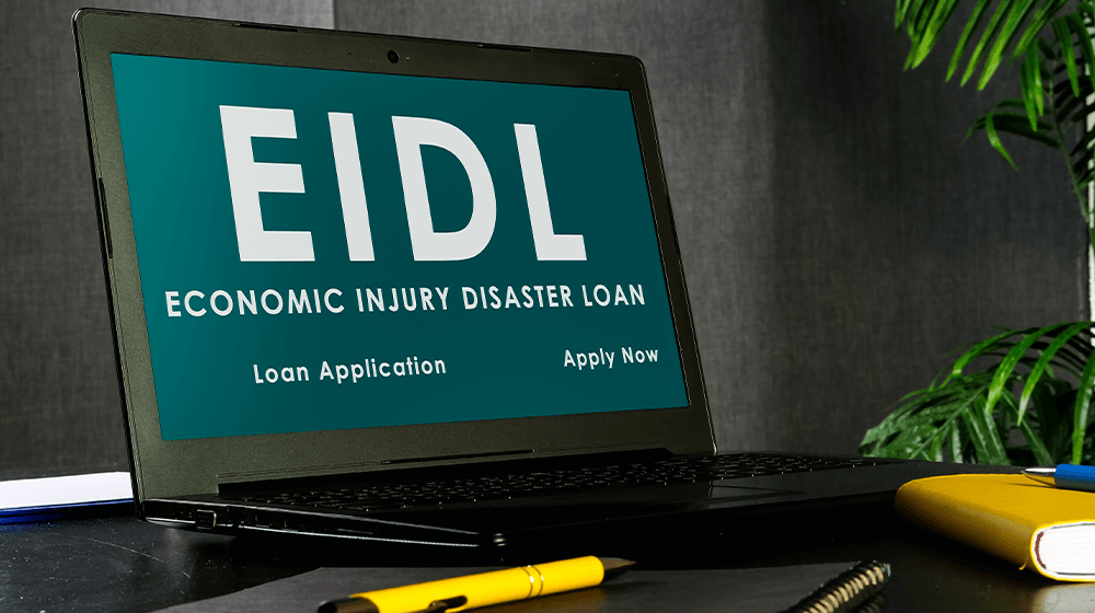 EIDL Loan Approved: Now What? A Comprehensive Guide for Small Business Owners dlvr.it/Spblqx