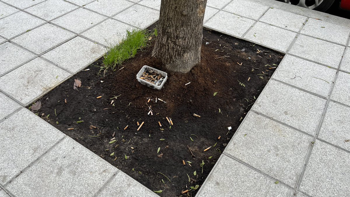 santandersucio's tweet photo. Hay que ver, @gemaigual, lo verde que eres y lo bien que cuidas las amplias zonas de esparcimiento de #SantanderSucio. ¿Esto tampoco lo recogen ni la ordenanza ni los pliegos? ¿Haces tu parte? ¿Te responsabilizas? #SantanderSuciedad #SantanderCiudad #Santander https://t.co/zFT5zMXrUo