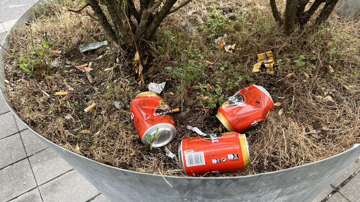 santandersucio's tweet photo. Hay que ver, @gemaigual, lo verde que eres y lo bien que cuidas las amplias zonas de esparcimiento de #SantanderSucio. ¿Esto tampoco lo recogen ni la ordenanza ni los pliegos? ¿Haces tu parte? ¿Te responsabilizas? #SantanderSuciedad #SantanderCiudad #Santander https://t.co/zFT5zMXrUo
