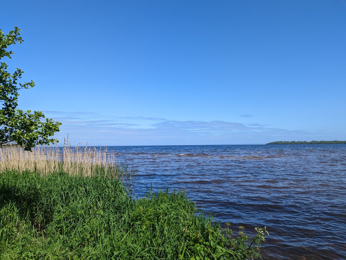 Beautiful day for a ride ☕🏍️