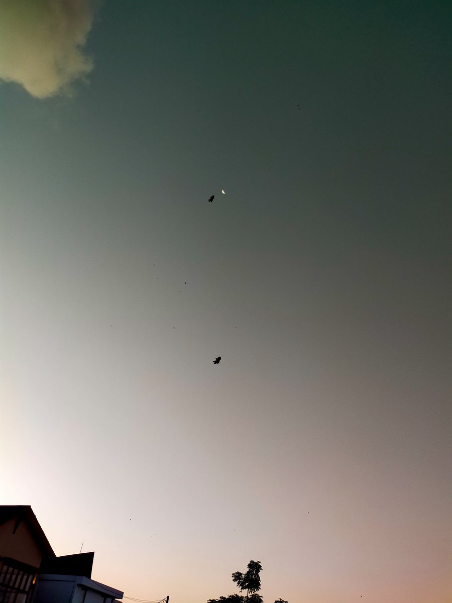 butter cup Bali🇮🇩🇯🇵 tweet media