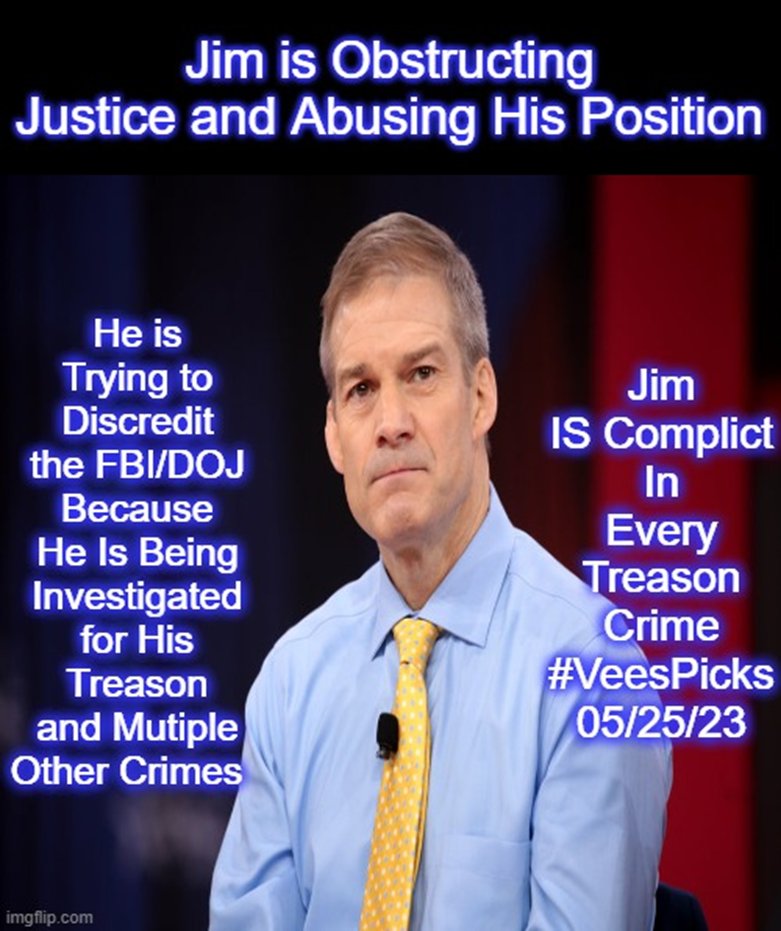 JJ is a Dem., who stands for truth, and dislikes MAGA’s! This resister @janaj840  states “Any Americans (R) insurrectionists who tried to overthrow our Gov., for the Orange Turd and defiled lawful subpoenas, should start with Jim Jordan! Vote Blue!  #VeesFriends