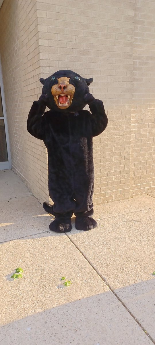 The Panther is out saying HAPPY LAST DAY OF SCHOOL!!!!

#AllForOne #pantherstrong