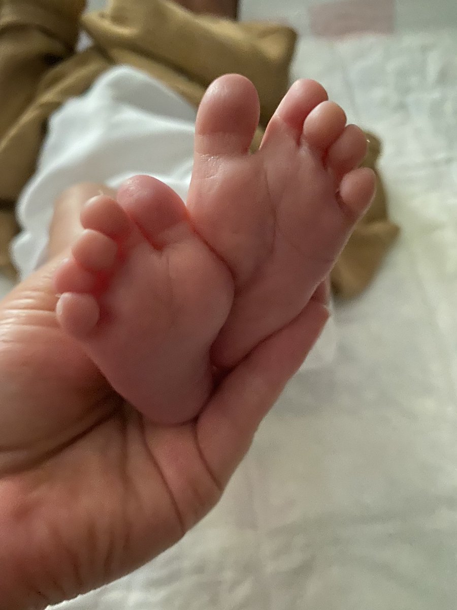 e_li_ff's tweet photo. Odamda böyle bişiy var 😳🤗🥰 https://t.co/3LUJvxube4