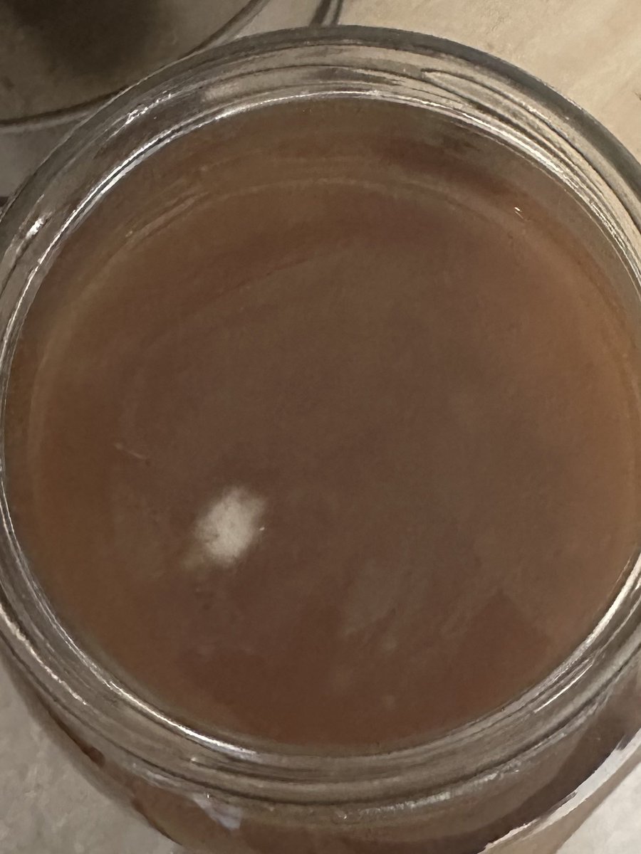 FrankieJack69's tweet image. Any #booch brewers out there able to tell me if the wee white spot is yeast or a bad #mould on my first time brew. Original #Scoby is underneath with this perfectly round new baby on top. Tastes/smells all good. #Mouldy? #Kombucha #Fermentation