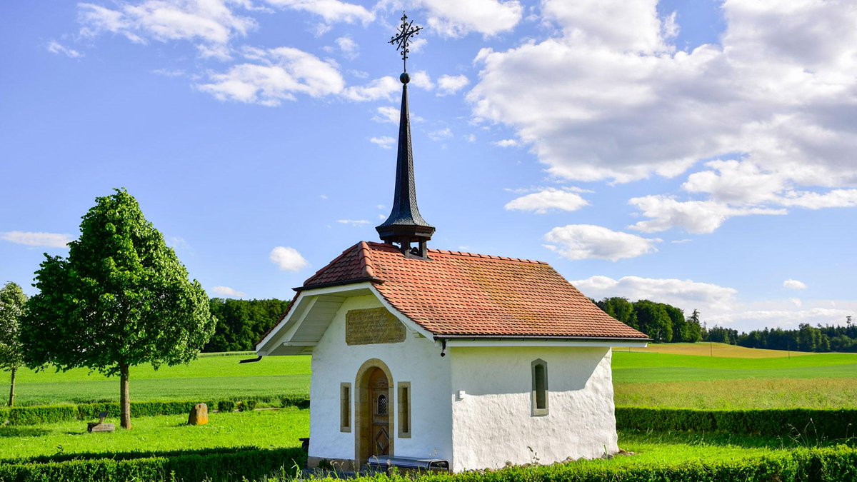 Der Schweiz-Experte tweet media