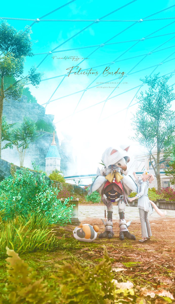 ねこみみ・バード🕊
#FF14