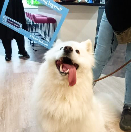 Southside Magazine (@southsidemag) on Twitter photo <a href="/PureOffices/">Pure Offices</a> in Cheadle hosted many of their office occupiers and their dogs for a day to raise money for <a href="/StAnnsHospice/">St Ann's Hospice</a>.
As their chosen charity of the year, Pure Offices introduced the hospice mascot Stann to all of their furry friends! Read More - southside.media/who-let-the-do… <a href="/PureOffices/">Pure Offices</a> in Cheadle hosted many of their office occupiers and their dogs for a day to raise money for <a href="/StAnnsHospice/">St Ann's Hospice</a>.
As their chosen charity of the year, Pure Offices introduced the hospice mascot Stann to all of their furry friends! Read More - southside.media/who-let-the-do…