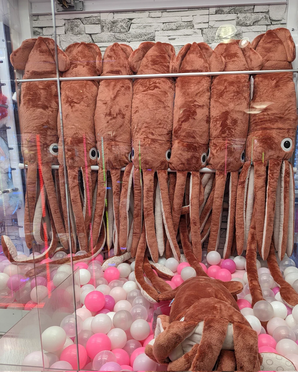 ゲームセンターで発見！巨大イカがたくさん入ったクレーンゲーム！！