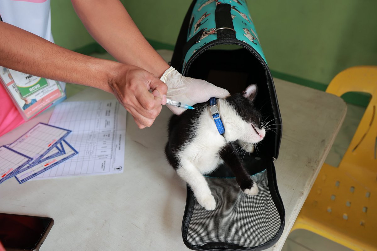 Quezon City Government on Twitter "Quezon City Youth Development Office Housing, Community