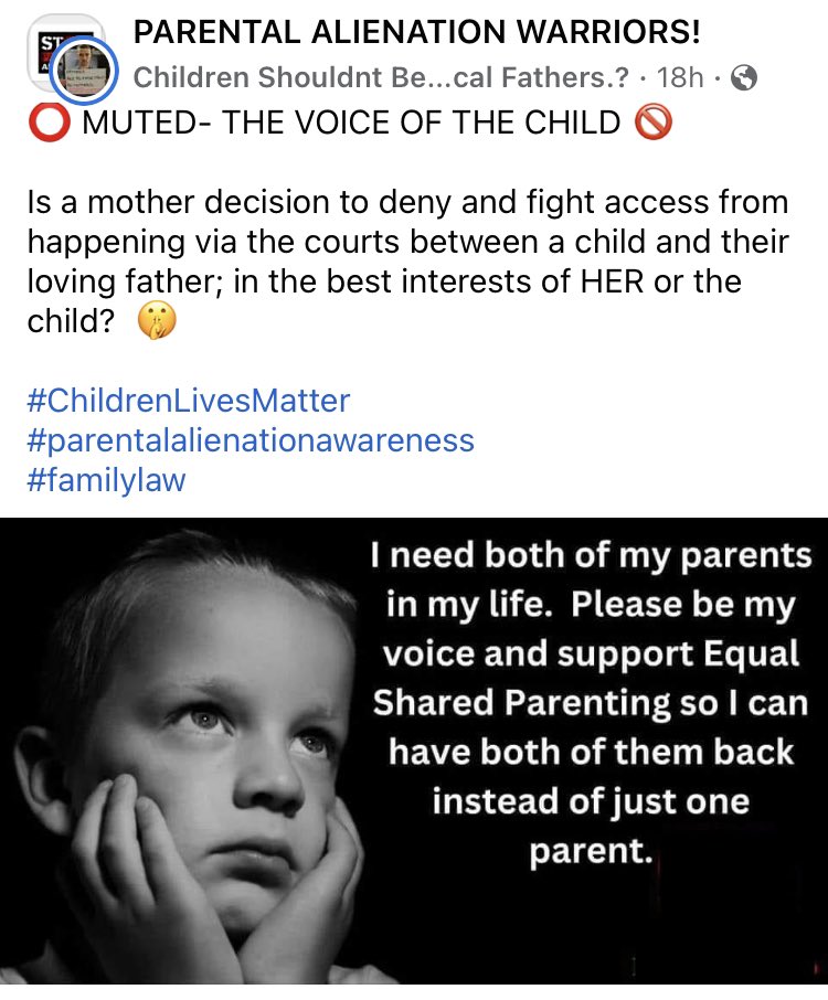 Pretty sure this is EXACTLY how my Youngest Daughter feel SMDH! 😥😤🤬 #ParentalAlienation #fathersmattertoo #parentingtips