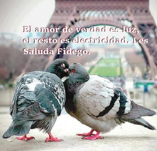 fidego54's tweet photo. #BuenosDiasATodos #BuenJueves 25.05.23 #jueveves

#ElAmor verdadero es luz...

#FelizJuevesParaTodos https://t.co/Lj4R9DMU2h