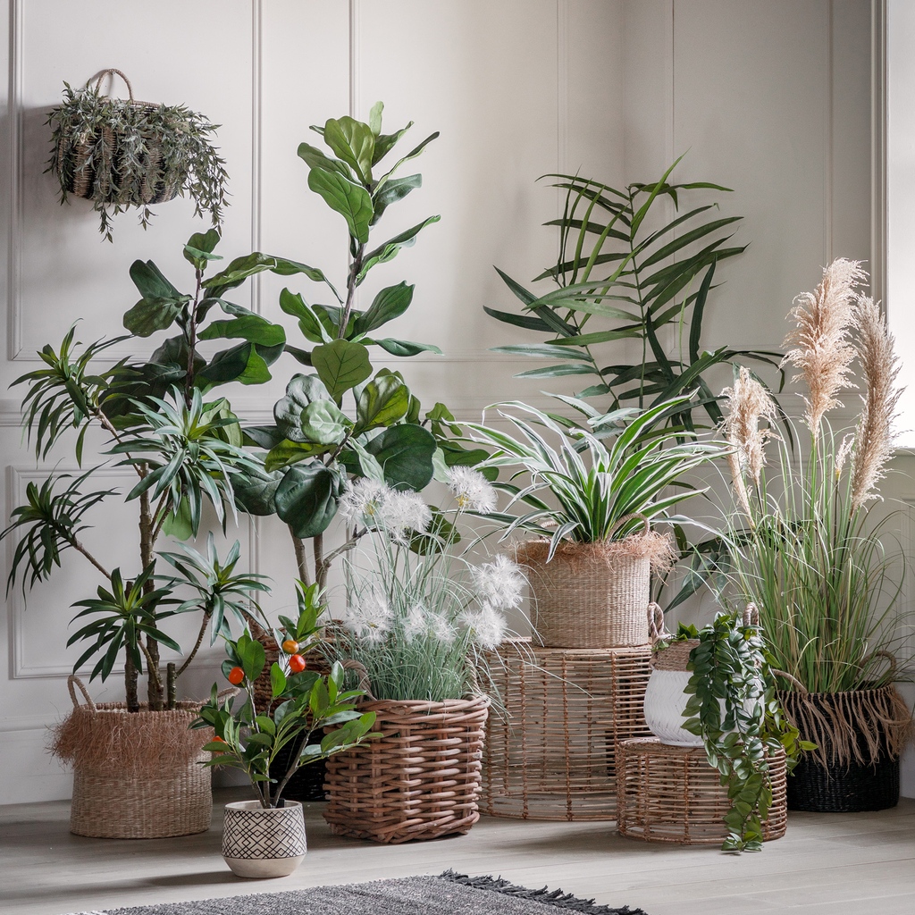 If you're looking for a beautiful and easy-care way to add some greenery to a home, then our range of faux plants is the perfect solution for you. #gallerydirect #leadingbydesign #homedecor #home #decor #accessories