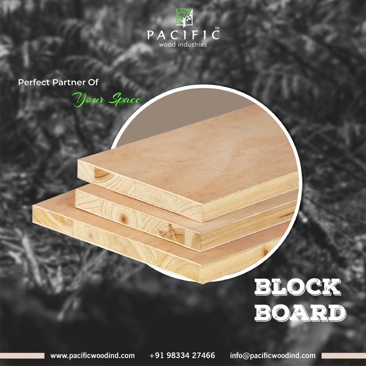 🌳🛠️ Discover Excellence in Craftsmanship: Introducing Pacific Woods' Blockboard Collection! 🚪✨

#PacificWoods #BlockboardCollection #QualityCraftsmanship #DurableMaterials #ElevateInteriors #TimelessAppeal #SuperiorStrength #WoodworkingProjects #ExquisiteDesign